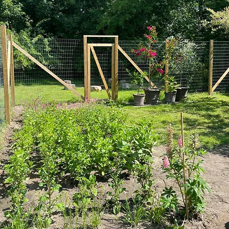 Cosy Collection In Veddinge Bakker * Asnæs